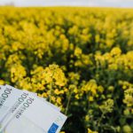 Cloud Costs - Various Russian paper banknotes located on picturesque view of bright blossom field on cloudy day