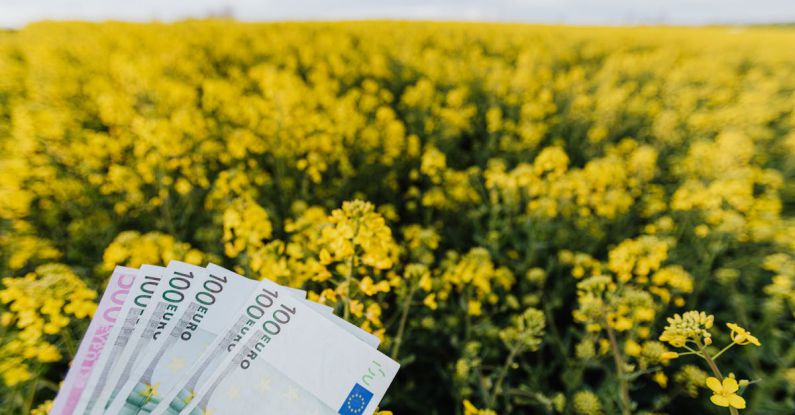 Cloud Costs - Various Russian paper banknotes located on picturesque view of bright blossom field on cloudy day