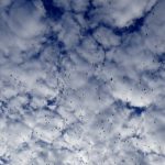 Cloud Migration - White and Blue Sky